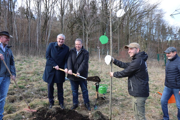 Landrat Marko Wolfram und Bürgermeister Dr. Steffen Kania pflanzen Baum. 