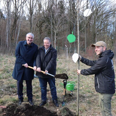 Landrat Marko Wolfram und Bürgermeister Dr. Steffen Kania pflanzen Baum. 