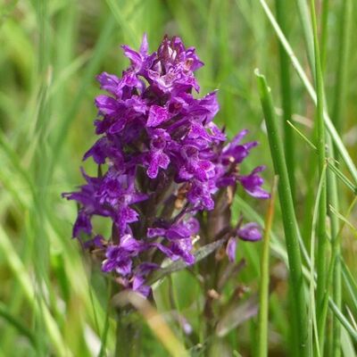 Bild vergr&ouml;&szlig;ern: PM 261 Bild1