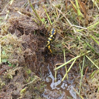 Bild vergr&ouml;&szlig;ern: PM 261 Bild2