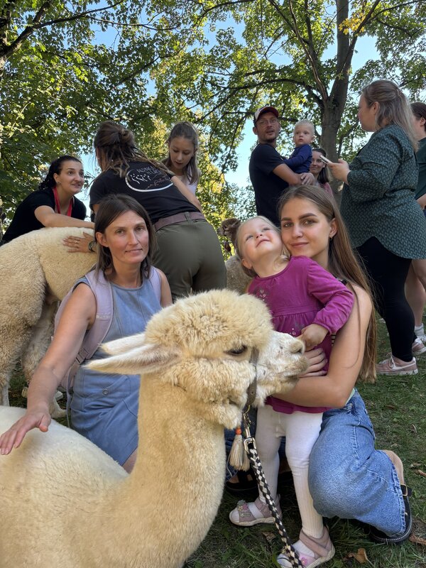 Bild vergrößern: PM 269 LSZ Alpakas (3)