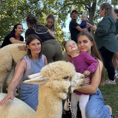 PM 269 LSZ Alpakas (3)