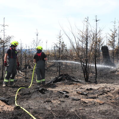 Bild vergr&ouml;&szlig;ern: Löscharbeiten beim Waldbrand.