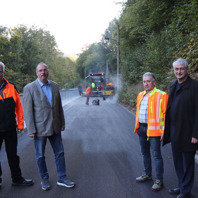 Bild vergrößern: PM 277 K162 Schoenheyd Geheeb Meckel Wolfram plah