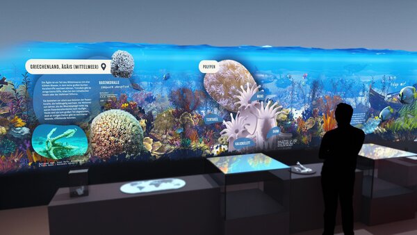 Interaktives Korallenriff in der naturhistorischen Ausstellung im Thüringer Landesmuseum Heidecksburg