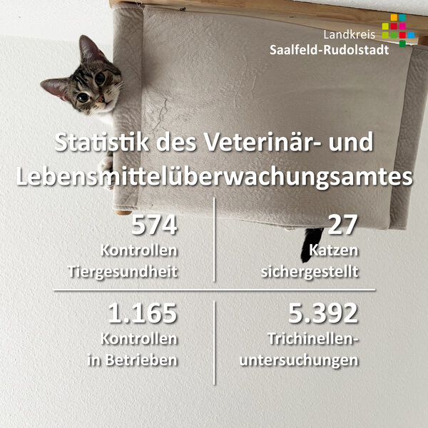 Bild vergr&ouml;&szlig;ern: Statistik des Veterinär- und Lebensmittelüberwachungsamtes