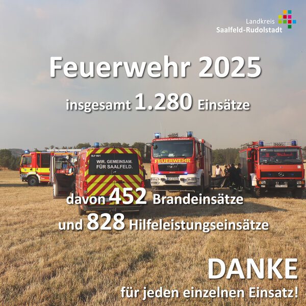 Bild vergr&ouml;&szlig;ern: Statistik Feuerwehr